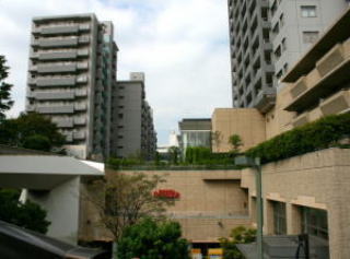 �}���V�����h����